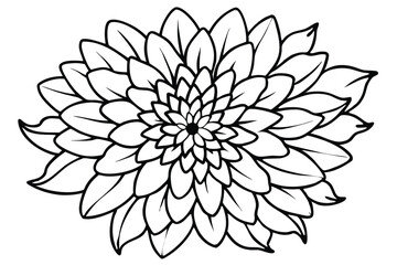Fototapeta premium chrysanthemum flower silhouette line art vector illustration with a white background