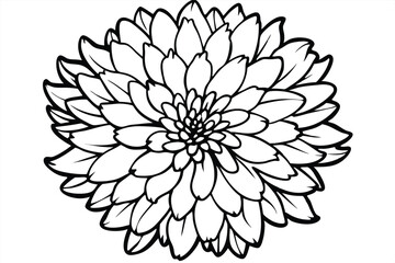 Fototapeta premium chrysanthemum flower silhouette line art vector illustration with a white background