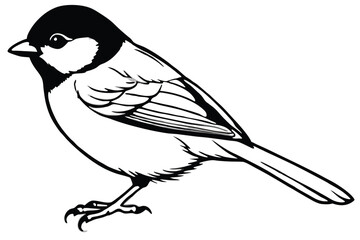 Obraz premium chickadee bird silhouette line art vector illustration with a white background