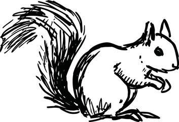 Obraz premium Sitting squirrel sketch hand drawn wild animal outline with bushy tail and attentive pose
