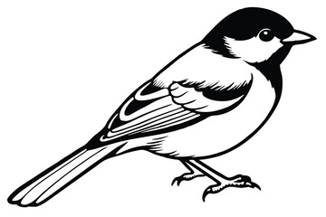 Fototapeta premium chickadee bird silhouette line art vector illustration with a white background