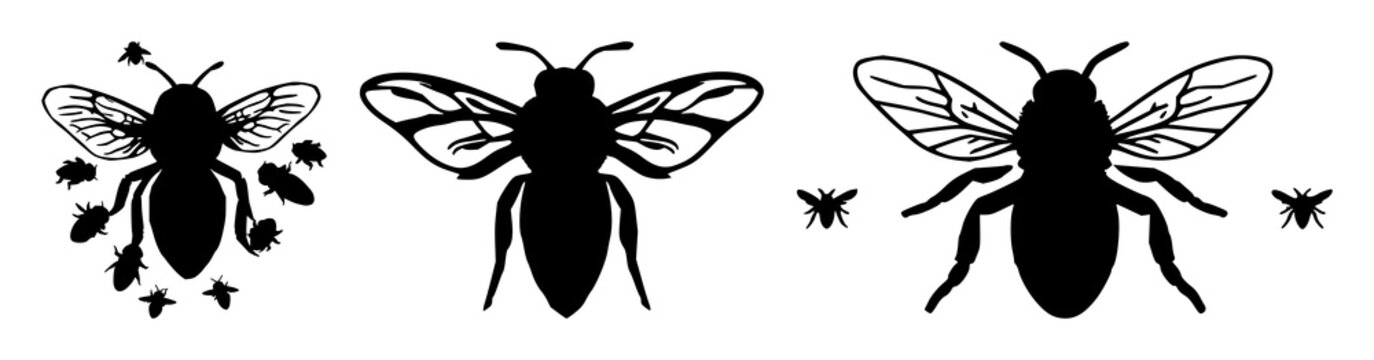 Bee cluster set with solid black icon on white background featuring bees, swarm, intelligence with icon design and vector illustration