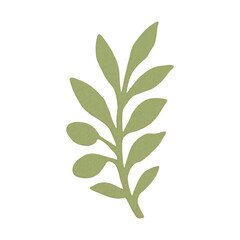 Obraz premium PNG Simple green leaf illustration.