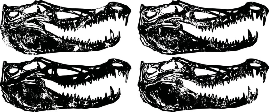 Four detailed black and white illustrations of alligator skulls with open jaws in artistic