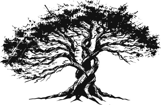 Two intertwined trees with detailed branches and leaves, black ink sketch, nature illustration