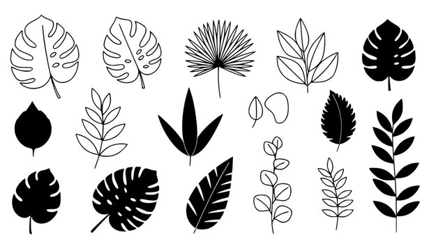 Botanical leaves vector illustration black white EPS set