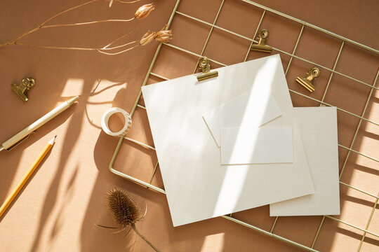 Overhead view of a gold wire mood board with blank paper mockups, pens, and botanical decor highlighted by a sunbeam.