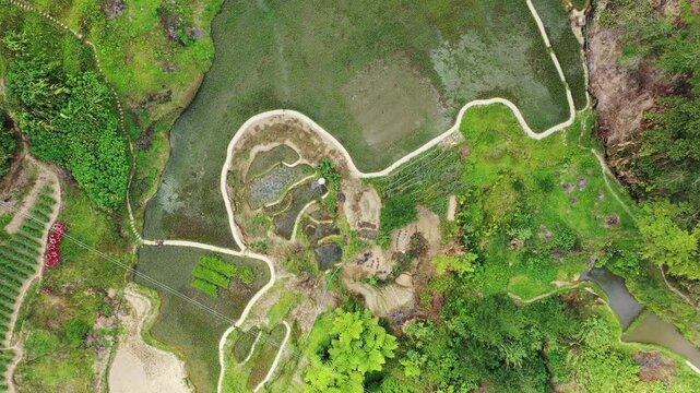 Drone shot of lush green rice terraces and pathways in the countryside around Banaue, Philippines. The image showcases traditional agriculture and natural beauty from above.