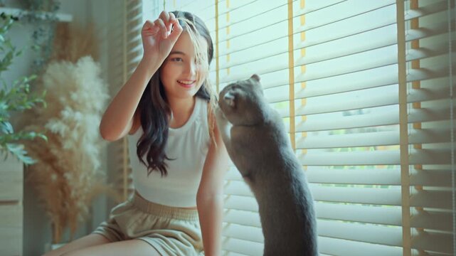 Happy Asian Gen Z woman playing with her grey scottish fold cat at home by the window. Beautiful young female owner bonding with pet in cozy living room with natural light. Concept of wellness, mental