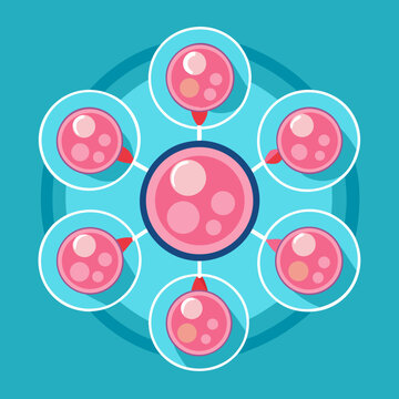 Pink Cells Forming an Abstract Network