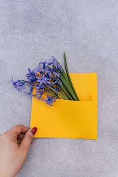 Close-up of a woman's hand reaching for a yellow envelope filled with a bunch of fresh blue hyacinths