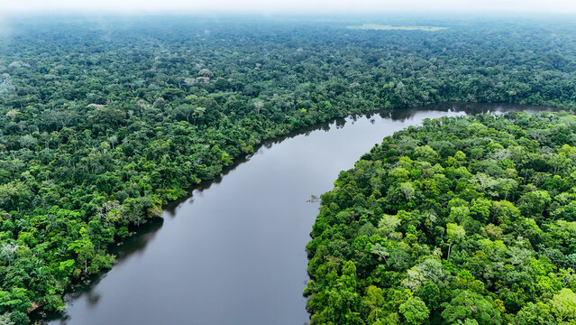 Lago as margens do Rio Juru&aacute;