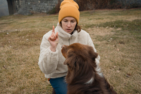 Woman training Australian Shepherd on misty rainy walk