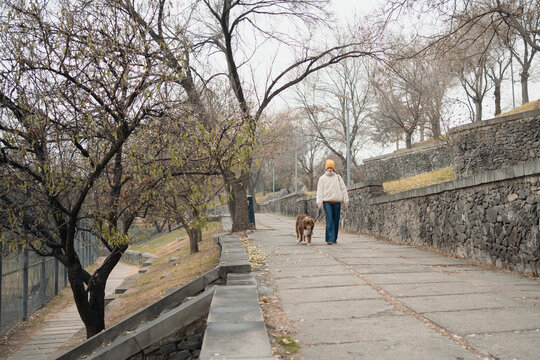 Woman walking Australian shepherd on foggy rainy path