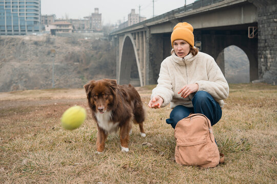 Woman training Australian shepherd outdoors in rainy fog