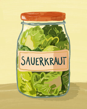 Illustrated jar of sauerkraut for probiotic gut health