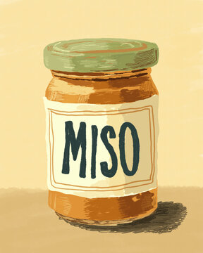 Illustrated miso jar for fermented probiotic gut health