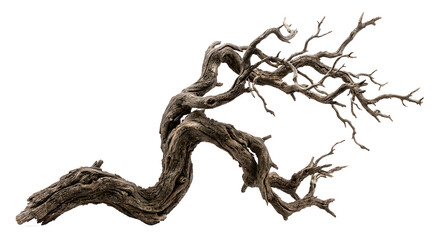 Naklejka premium dead tree branch with cracks and rough bark, hyper realistic, cutout style