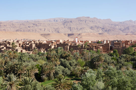 Desert oasis village with palm grove in Morocco landscape