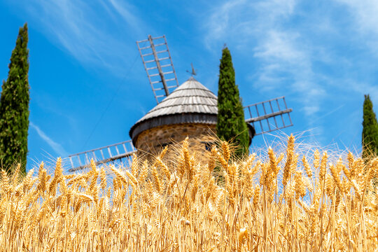 Traditional windmill above golden wheat field under blue sky