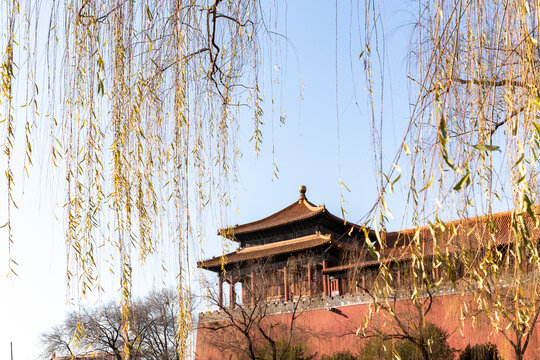 Traditional architecture in Beijing with willow branches