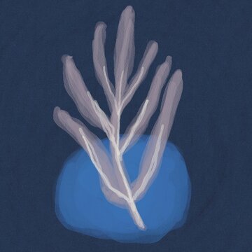Abstract botanical illustration of soft plant form on blue