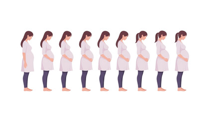 Obraz premium Pregnant woman months progression vector illustration maternity stages timeline design