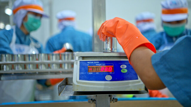 Workers randomly weigh canned fish as part of the process