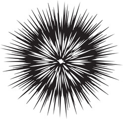 Naklejka premium Black and white abstract explosion graphic design element
