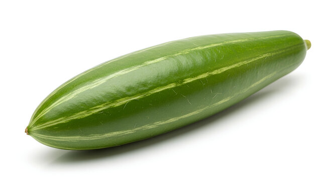 Fresh green pointed gourd also known as parwal or patol, a nutritious tropical vegetable, isolated on a clean white background.
