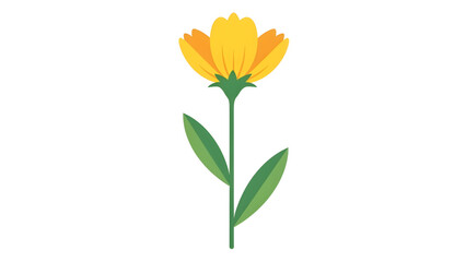 Fototapeta premium Yellow Flower with Green Leaves on White Background