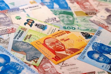 Obraz premium Nigeria naira money bills pile on table. Nigeria banknotes of NGN currency close up.