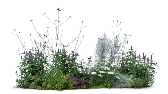 Group of miscellaneous plants and flowers in a group, isolated on white and transparent background