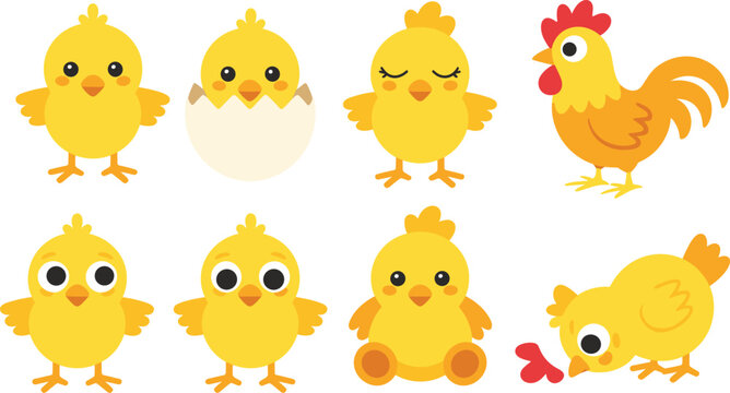 Cute yellow chick collection featuring cartoon characters hatching from egg sleeping pecking food and hen for Easter nursery and children educational vector design.