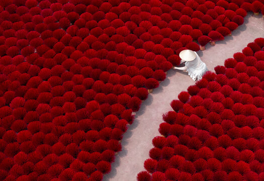 Traditional Vietnamese incense stick production, woman in Quang Phu Cau village in Hanoi, Vietnam
