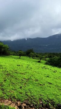The majestic AMK range of the Western Ghats comes alive in peak monsoon with emerald cliffs, misty skies, and endless green beauty. A stunning 4K glimpse of raw Sahyadri grandeur.