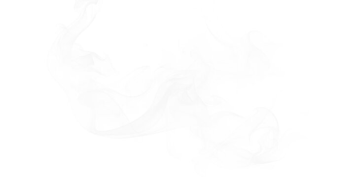 White ethereal smoke swirls gracefully against a deep black background creating an abstract vaporous steam texture flows