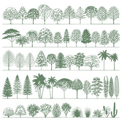 Architectural Tree CAD Blocks Set, Landscape Design Elevation Drawings with Trees and Vegetation, Vector Elements for AutoCAD Plans, Garden Layout, Botanical Illustration Collection © LEECOO