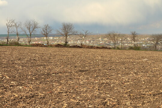 A field with trees and a body of water in the background