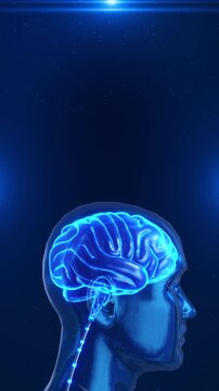 Ai brain technology infographic background. Futuristic artificial intelligence mind design. Connecting idea innovation. ai brain network circuit hologram Machine learning connect genius human Medicine