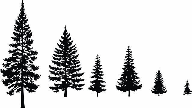 A series of coniferous trees diminishing in size silhouetted in black