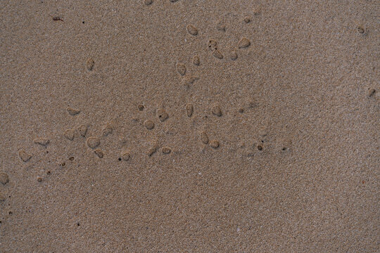 Minimal sandy surface with scattered stones forming a subtle abstract composition.