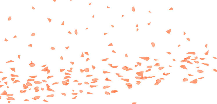 Abstract background featuring small scattered coral-colored particles and confetti shapes floating against a clean isolated white studio backdrop