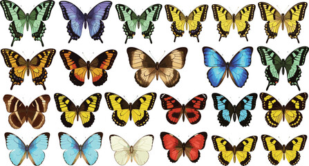 Colorful Butterfly Vector Set with Different Species and Vibrant Patterns for Nature, Insect, and Wildlife Illustration Designs © Lipi