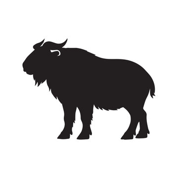 himalayan takin mountain goat antelope silhouette in black and white flat design vector illustration