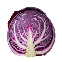 Obraz premium Half of Fresh Raw Red Cabbage Isolated on White Background
