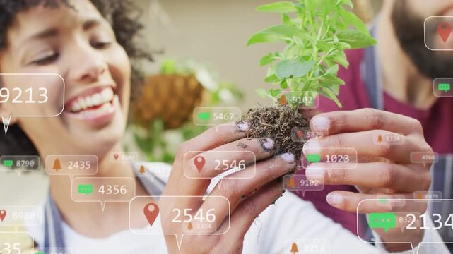 Woman lifting rootball starting gardening check, man teasing roots for potting, AR alerts rising
