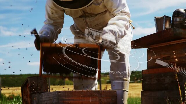 Beekeeper prying frame, stirring bees and checking hive health, beekeeping overlays over scene
