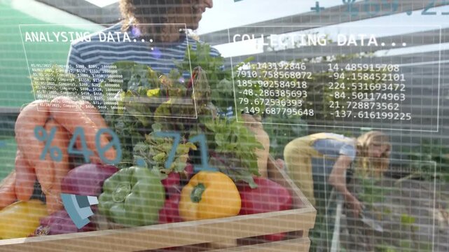 Man holding crate while woman tending crops, piechart appearing over crops starting farm analytics