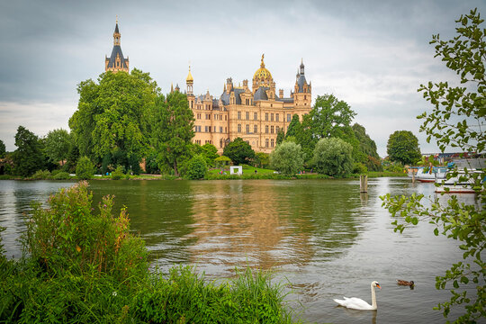 Schwerin Castle on Lake Schwerin with Swan, Mecklenburg-Vorpommern, Germany